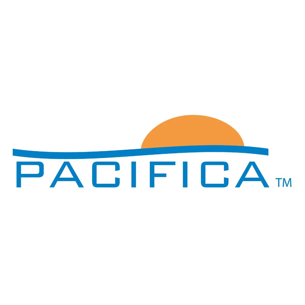 Canopy - Polyester - Pacifica