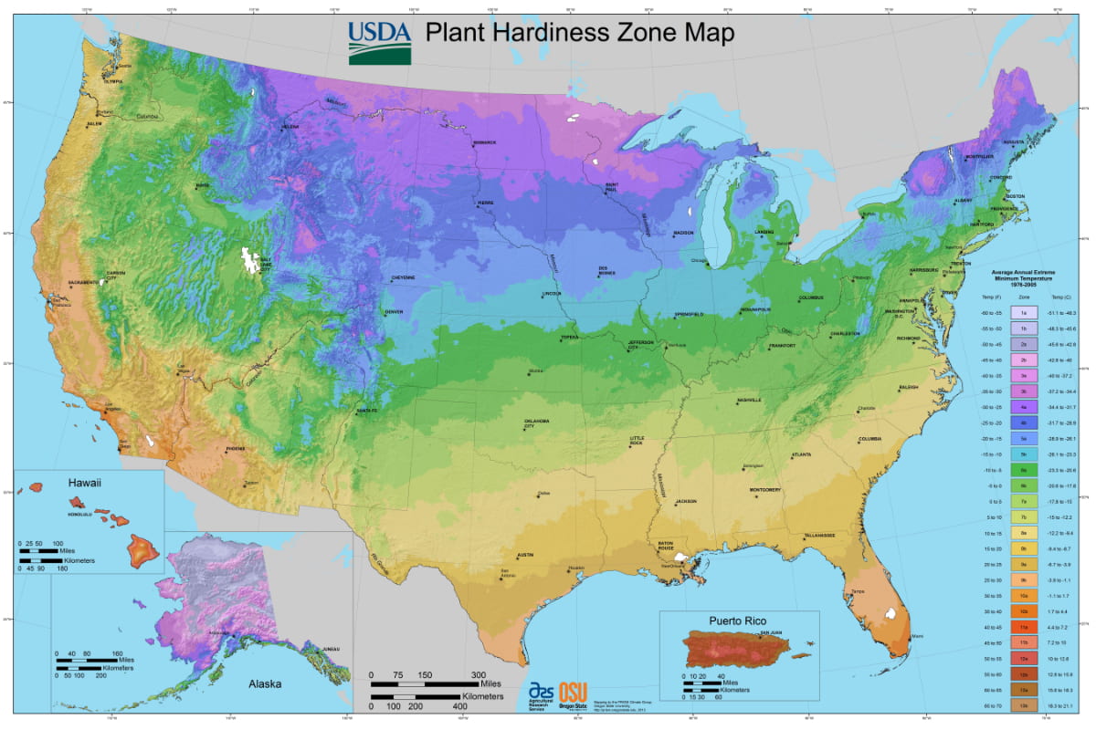 Garden Design Tips - Climate - Hardiness Zone