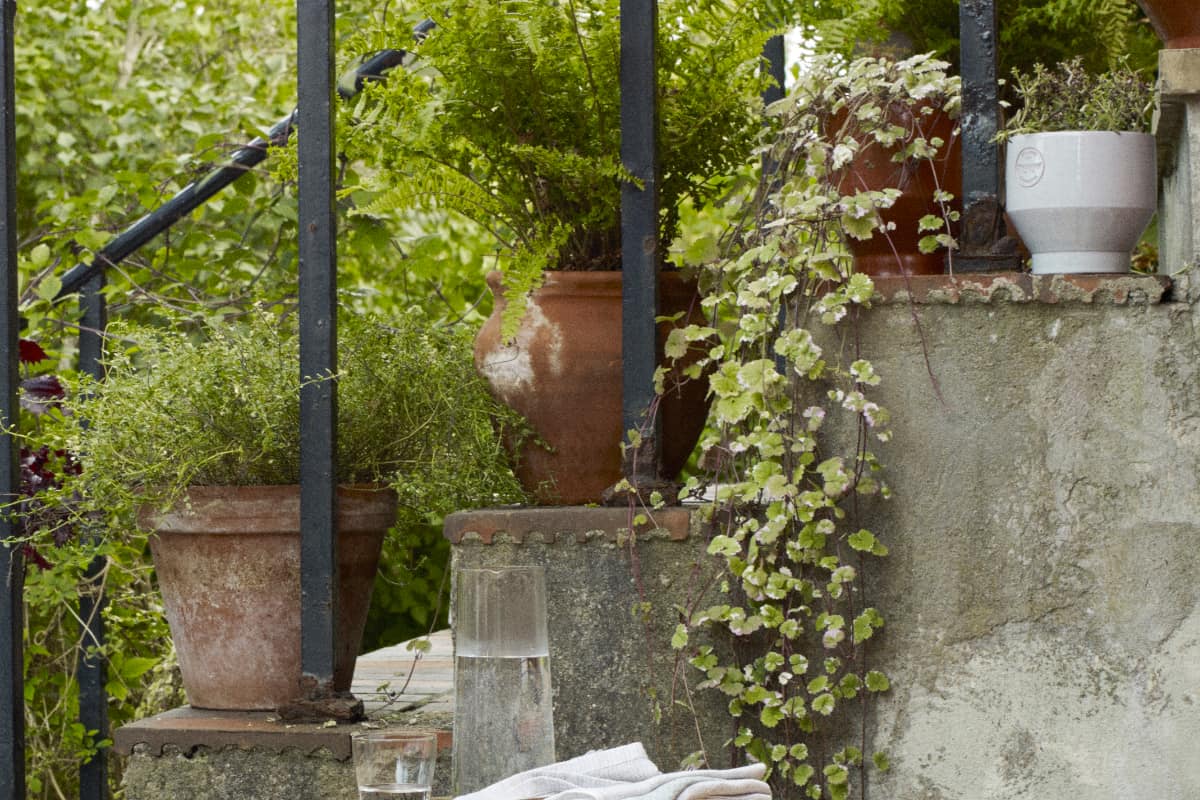 Garden Design Tips - Containers