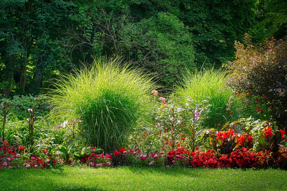 Garden Design Tips - Textures & Colors