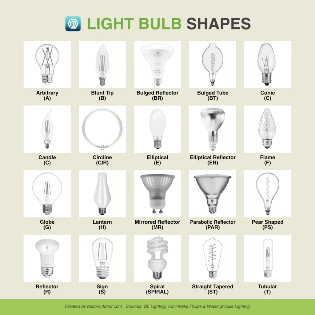 Display of 20 different types of light bulbs with names and abbreviations