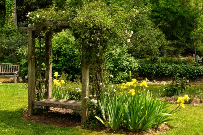 Aged wood arbor with built-in bench covered by climbing plants in a green park with yellow flowers