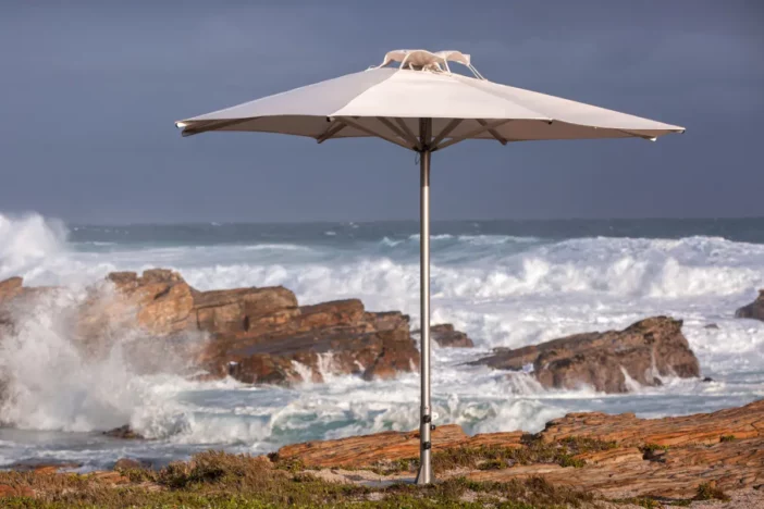 Outdoor umbrella with wind whipping through its canopy vent on a coast